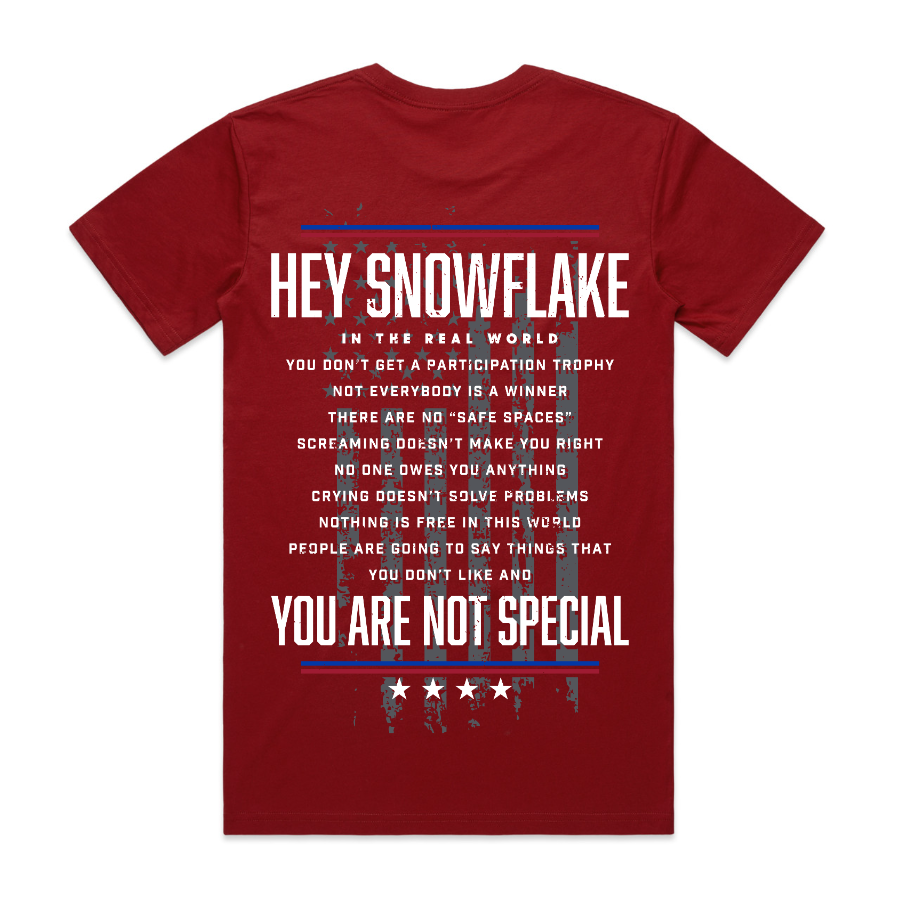Hey Snowflake T-Shirt